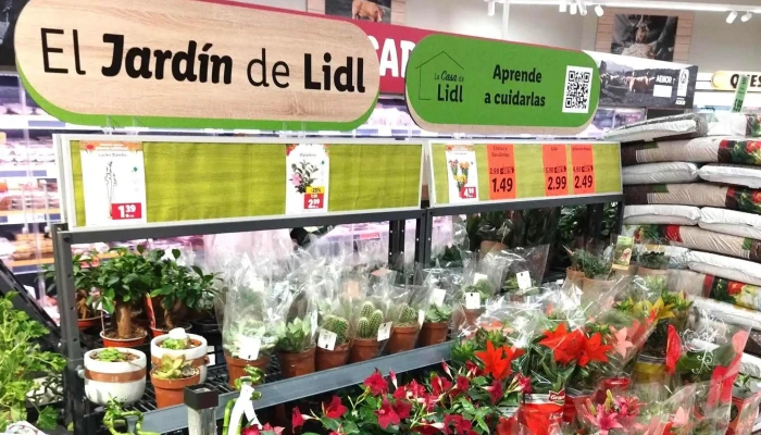 Lidl -  Numero - Madrid