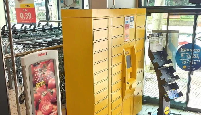Lidl -  Sitio Web - Madrid