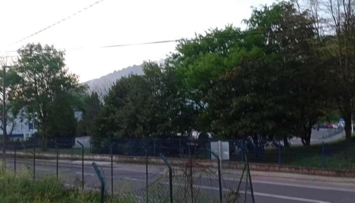 Mantequerias Arias   Fabrica Y Venta De Quesos Abierto Ahora - Vegalencia