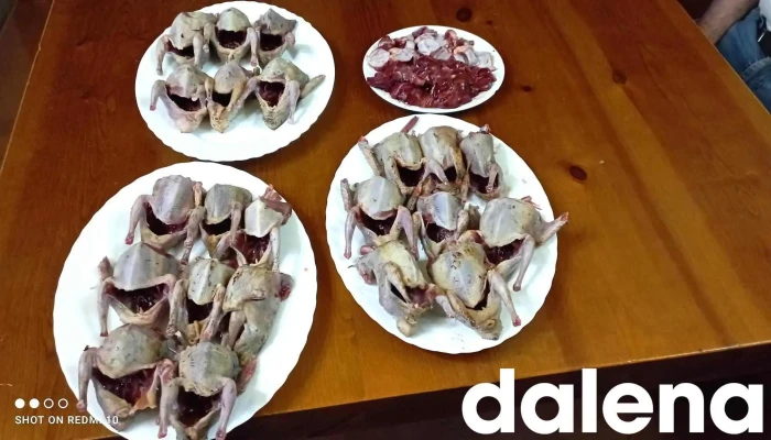 Marisqueria Palenzuela -  Comida Y Bebida - Palenzuela