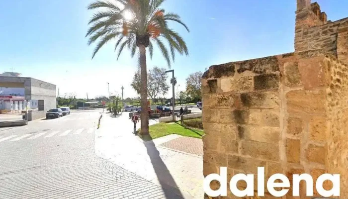 Meldebea - 07400 Alcúdia