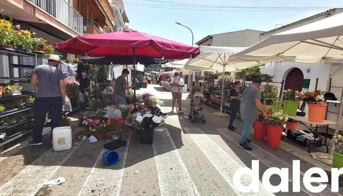 Mercadillo de Cala Ratjada - 12