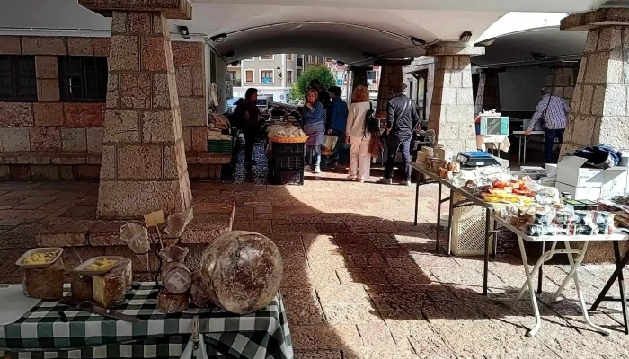 Mercado De Cangas De Onis Videos - Cangas de Onís