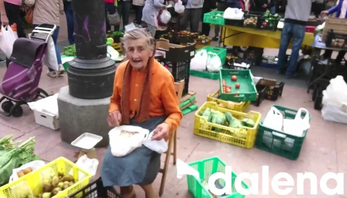 Mercado El Fontan Videos - Oviedo