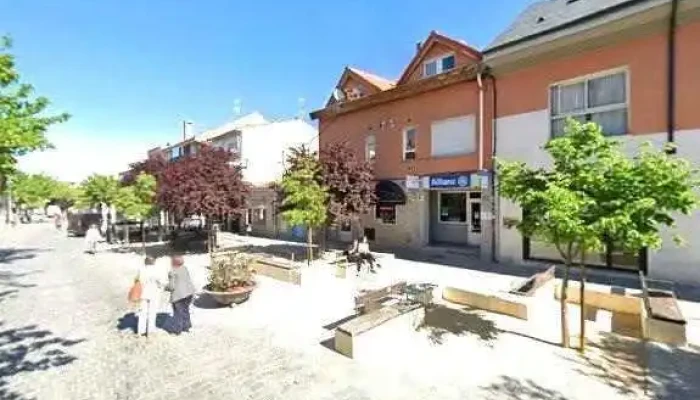 Mercado Hermanos Solis Aparicio -  Sitio Webdeg - Torrelodones