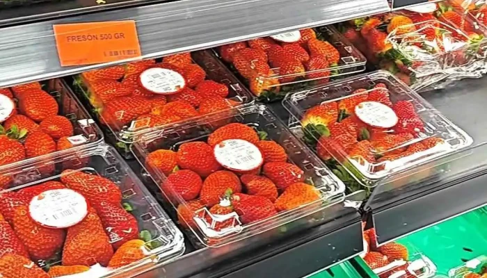 Mercadona -  Interior - Tres Cantos