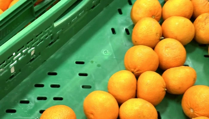 Mercadona -  Puntaje - Zamora