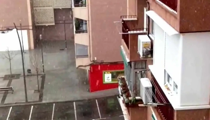 Mercadona -  Videos - Arroyomolinos