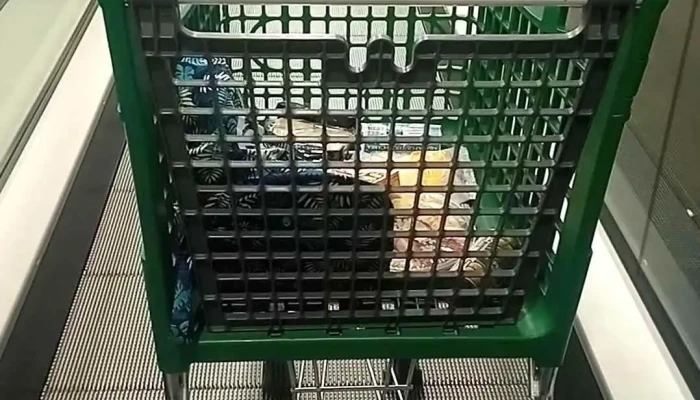 Mercadona -  Videos - Madrid