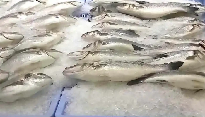 Mercadona -  Videos - Madrid