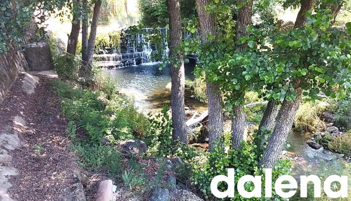 Molino De Las Animas Videos - Descargamaría