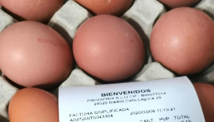 Primaprix Como Llegar - Madrid