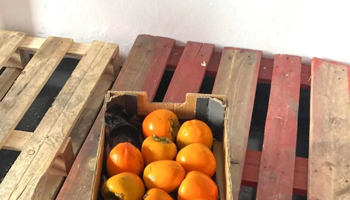 Punto Productor Colmenar Viejo La Trastienda Colmenar Viejo Horario - Colmenar Viejo