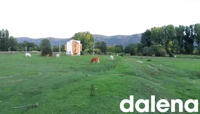 Restaurante El Colorao -  Videos - Alameda del Valle