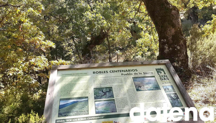 Sociedad Cooperativa Madrileña los Apisquillos - Puebla De La Sierra