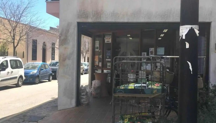 Spar Esporles - 26