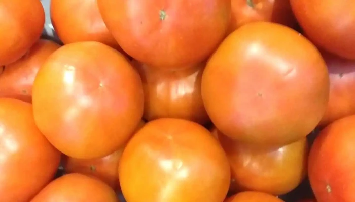 Supermercado Las Tolvas -  Alimento - San Esteban