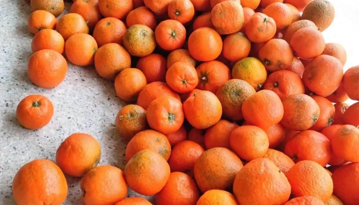 Supermercado Tajo -  Fotos - Fuentidueña de Tajo