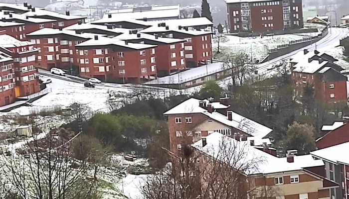Supermercados Alimerka -  Zona - Tineo
