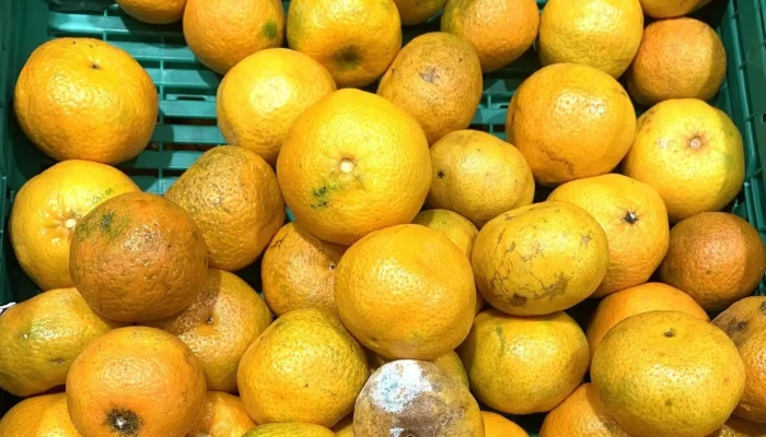 Supermercados Dia -  Opiniones - Madrid