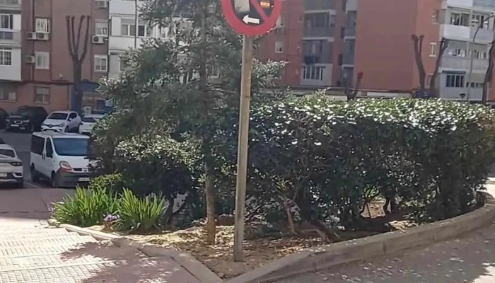 Supermercados Dia -  Videos - Alcalá de Henares