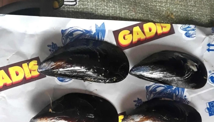 Supermercados Gadis -  Fotos - Palencia
