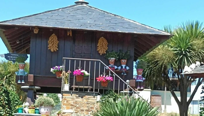 Tienda Pequeñón - Asturias