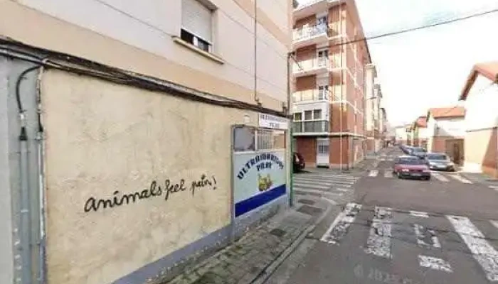 Ultramarinos Pilar -  Catalogodeg - Palencia